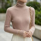 Cashmere-Feel Cloud-Like Roll Neck Jumper