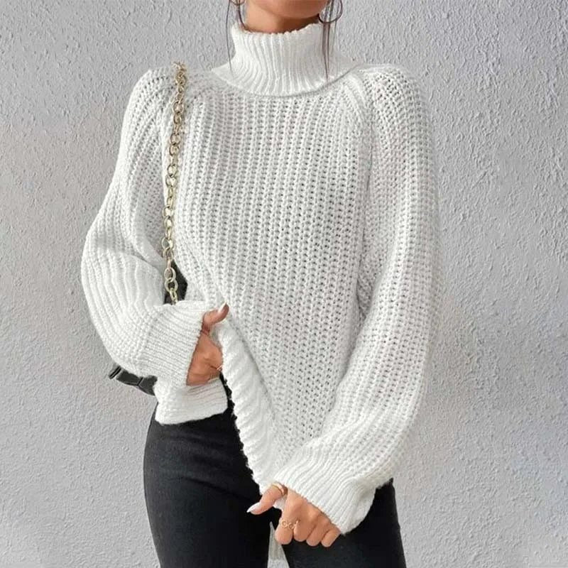Chunky Rib Roll Neck Jumper