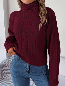 Cable Roll Neck Puff Sleeve Jumper