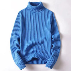 Thick Ribbed Roll Neck Jumper