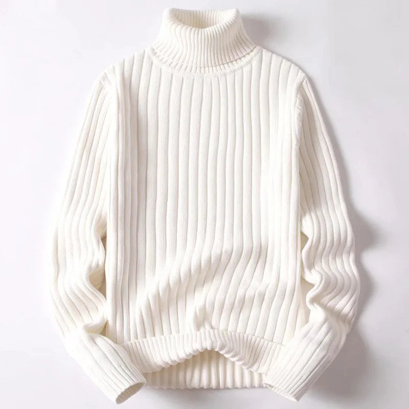 Thick Ribbed Roll Neck Jumper