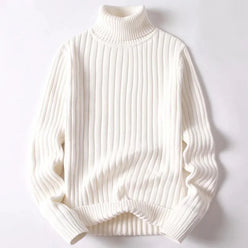 Thick Ribbed Roll Neck Jumper