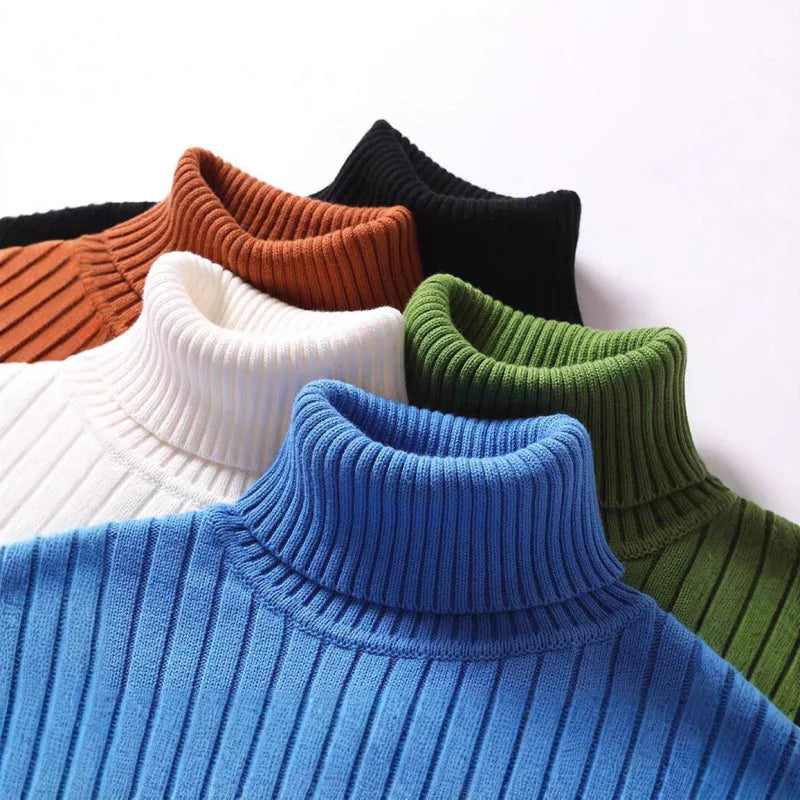Thick Ribbed Roll Neck Jumper