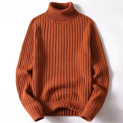 Thick Ribbed Roll Neck Jumper