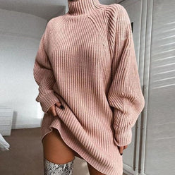 Ribbed Roll Neck Jumper Dress