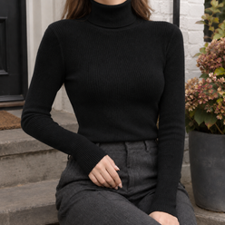 Fine Ribbed Roll Neck Jumper