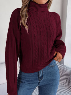 Chunky Cable Roll Neck
