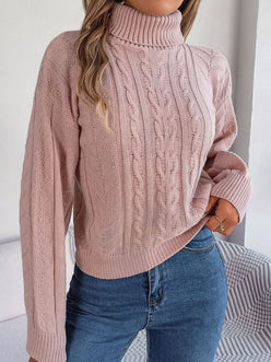 Chunky Cable Roll Neck